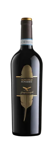VALPOLICELLA RIPASSO DOC CLASSICO SUPERIORE 2020 | MAGNUM