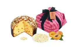 PANETTONE ALBICOCCA CIOCCOLATO BIANCO | 1kg
